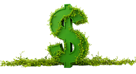 Dollar